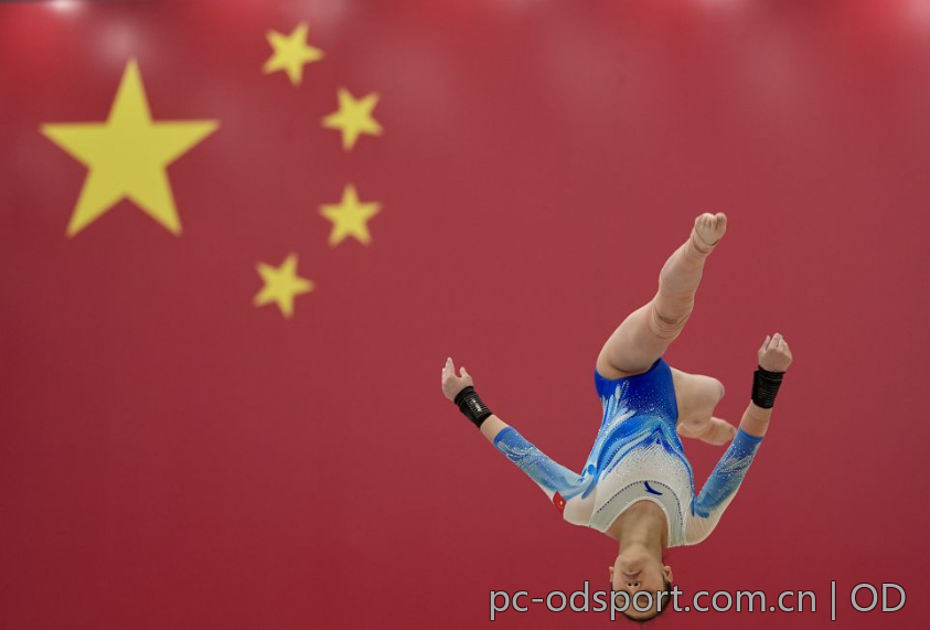 od体育官网全方位解析与评测