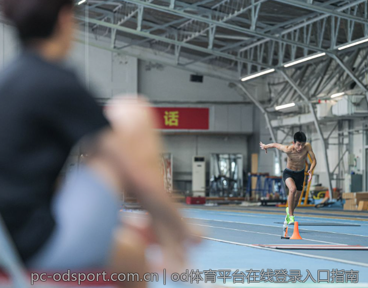 od体育平台在线登录入口指南