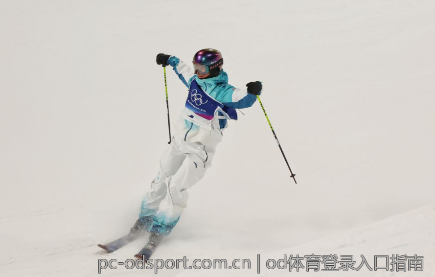 od体育登录入口指南