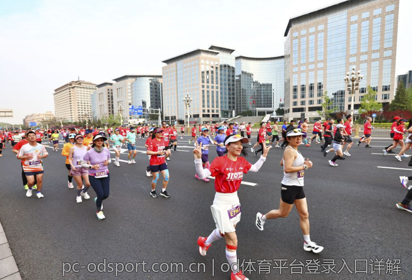 od体育平台登录入口详解